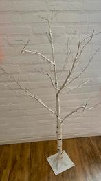 Witte berkenboom  120 cm, Ophalen, Zo goed als nieuw