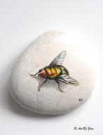 Mooie vlieg hand geschilderd op een lichte riviersteen, Ophalen of Verzenden