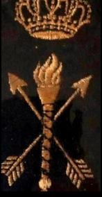 Marine Embleem DIENSTGROEP TECHNISCHE DIENST, Verzenden, Marine, Nederland, Embleem of Badge