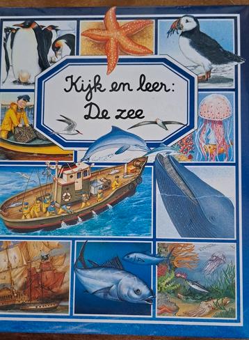 Kijk en leer: De zee