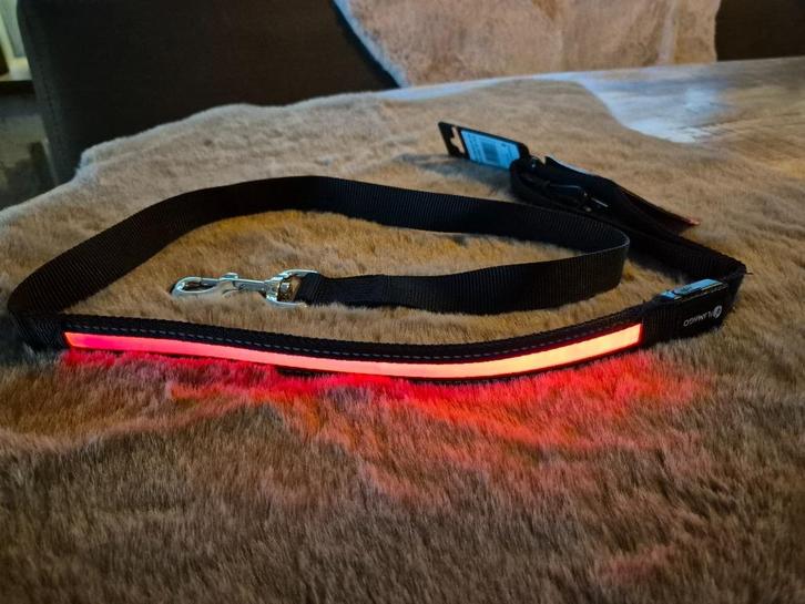 Hondenlijn led, Dieren en Toebehoren, Hondenriemen, Nieuw, Hondenriem, Ophalen