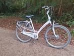 Damesfiets batavus mambo, Fietsen en Brommers, Fietsen | Dames | Damesfietsen, Ophalen, Versnellingen, Batavus, 56 cm of meer