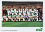 Elftalkaart Borussia Mönchengladbach - seizoen 1982/1983, Verzamelen, Sportartikelen en Voetbal, Ophalen of Verzenden, Gebruikt
