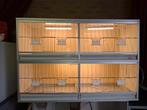 Kweekkooien van Keulen, Dieren en Toebehoren, Vogels | Hokken en Kooien, Ophalen of Verzenden, Zo goed als nieuw, Hout, Broedkooi of Kweekkooi