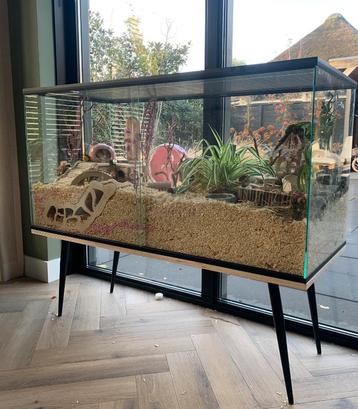 Super mooi ruim hamsterverblijf / terrarium met toebehoren beschikbaar voor biedingen