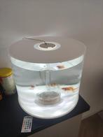 Biorb Tube 35L MCR, Dieren en Toebehoren, Ophalen, Gebruikt, Leeg aquarium