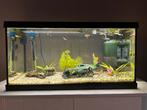 Heel leuk Aquarium van een jaar oud., Dieren en Toebehoren, Vissen | Aquaria en Toebehoren, Ophalen, Zo goed als nieuw, Gevuld zoetwateraquarium