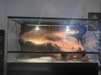 Blue Lagoon Terrarium met 3D Rock achterwand, Dieren en Toebehoren, Ophalen, Zo goed als nieuw, Terrarium of Paludarium