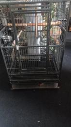 Papagaaien kooi, Dieren en Toebehoren, Vogels | Hokken en Kooien, Ophalen, Vogelkooi