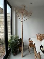 Grote -hoge gedroogde bereklauw, Huis en Inrichting, Woonaccessoires | Droogbloemen, Ophalen, Zo goed als nieuw