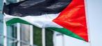 Palestina vlag. Free Palestina!, Ophalen of Verzenden, Nieuw
