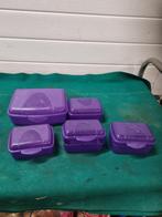 vershoud bakjes paars vijf stuks, Ophalen of Verzenden, 'T Olde Gre-j, Info@toldegrej.nl, Endepoelstraat 20f Didam