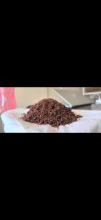 Cocopeat 200 gram –moet nu weg !!, Tuin en Terras, Ophalen