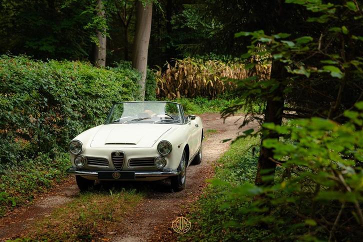 Alfa romeo 2600 spider, Auto's, Alfa Romeo, Bedrijf, Te koop, Spider, Open dak, Benzine, Cabriolet, Handgeschakeld, Origineel Nederlands