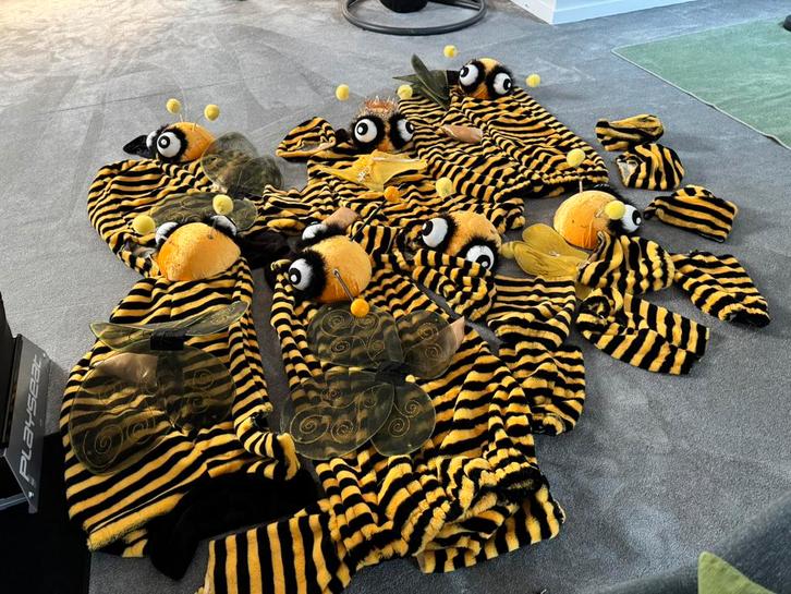 5 bijenpakken carnaval of feest, Kleding | Heren, Carnavalskleding en Feestkleding, Ophalen of Verzenden