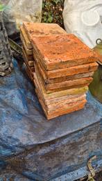 Plavuizen rood, Ophalen of Verzenden, Bakstenen