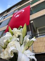 Trouwvlaggen Verhuur & Verkoop, Ophalen, Nieuw, Geboorte of Huwelijk