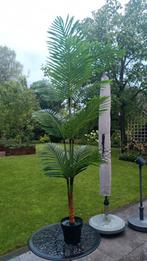 Kunst palm, Tuin en Terras, Planten | Bomen, Ophalen, Volle zon, Palmboom, 100 tot 250 cm
