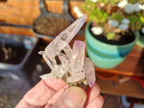 VC5 Amethyst Mine de Vera Cruz Las Vigas de Ramirez Mexico, Verzamelen, Mineralen en Fossielen, Mineraal, Ophalen of Verzenden