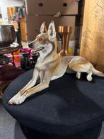 Theoder Kärner,  Nymphenburg porselein duitse herder., Verzamelen, Beelden en Beeldjes, Ophalen of Verzenden, Zo goed als nieuw