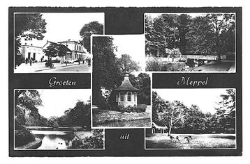 976334	Meppel	Drenthe	1966	Niet gelopen                      beschikbaar voor biedingen