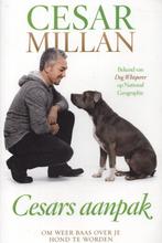 Cesars Aanpak - Cesar Millan BOEK 9789048820894, Boeken, Dieren en Huisdieren, Ophalen of Verzenden, Zo goed als nieuw, Honden