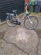 Giant damesfiets, Ophalen, Gebruikt, Overige merken