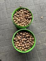 Walnoten tekoop, Ophalen of Verzenden