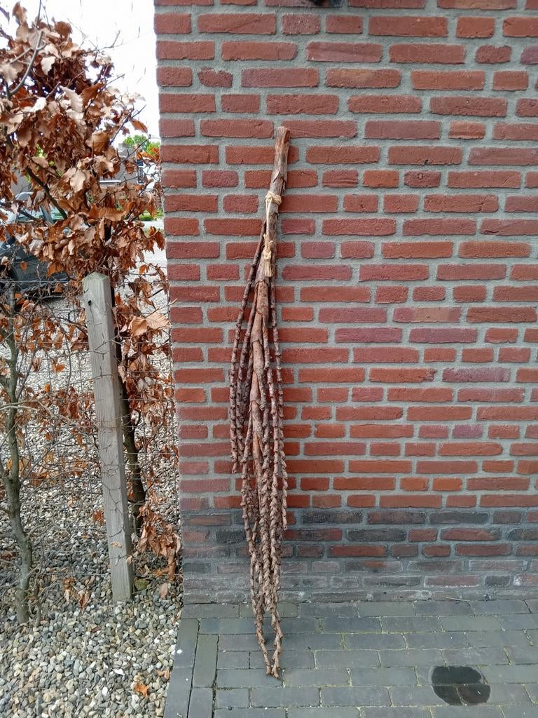 Decoratieve stronk / tak voor huis of tuin, Ophalen, Hout, Gebruikt, Landelijk