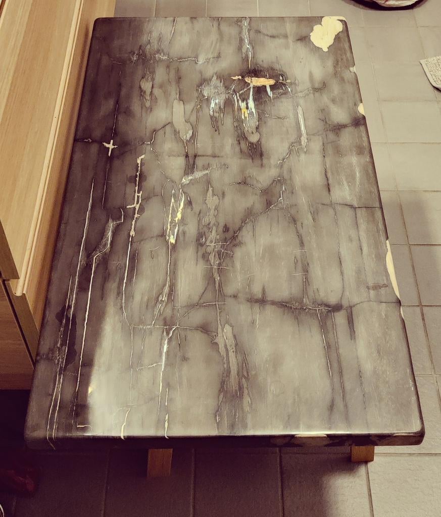 Versteend houten tafelblad uniek pronkstuk nieuw, Huis en Inrichting, Tafels | Salontafels, Ophalen, Nieuw, 50 tot 100 cm, Minder dan 50 cm