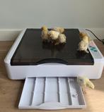 HHD 36 Automatische Broedmachine | 36 Eieren | €50, Dieren en Toebehoren, Pluimvee | Toebehoren, Ophalen of Verzenden, Zo goed als nieuw