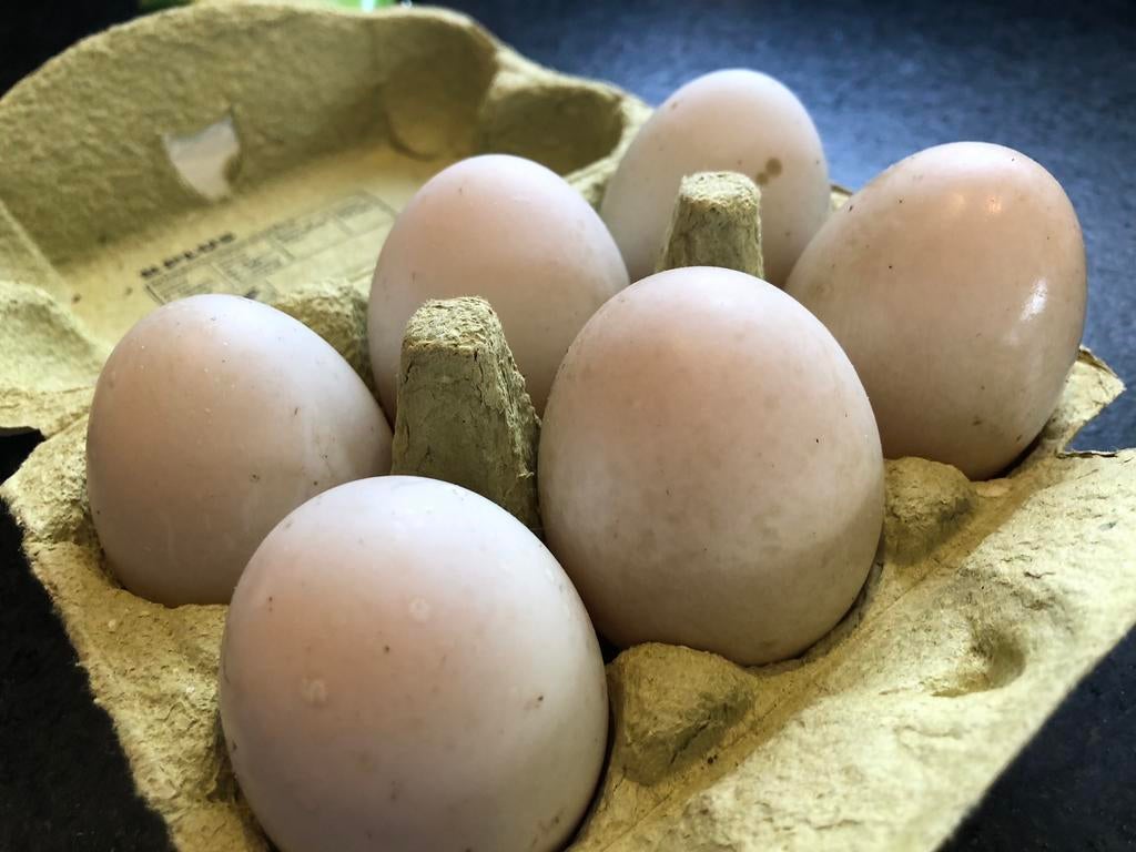 Eenden eieren, Diversen, Levensmiddelen, Ophalen