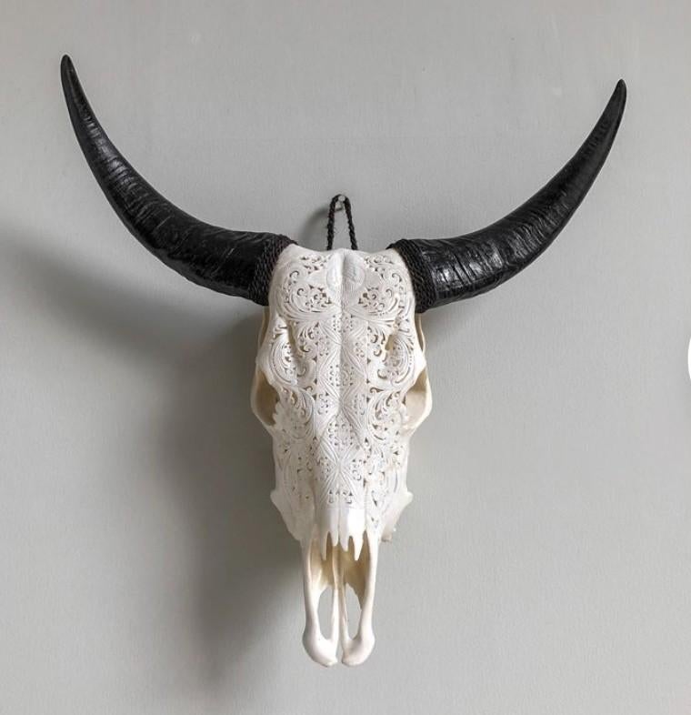 Buffel schedel gegraveerd, Ophalen of Verzenden, Schedel