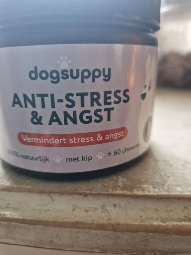IEDEREEN WIL TOCH EEN RELAXTE HOND, Ophalen of Verzenden, Hond