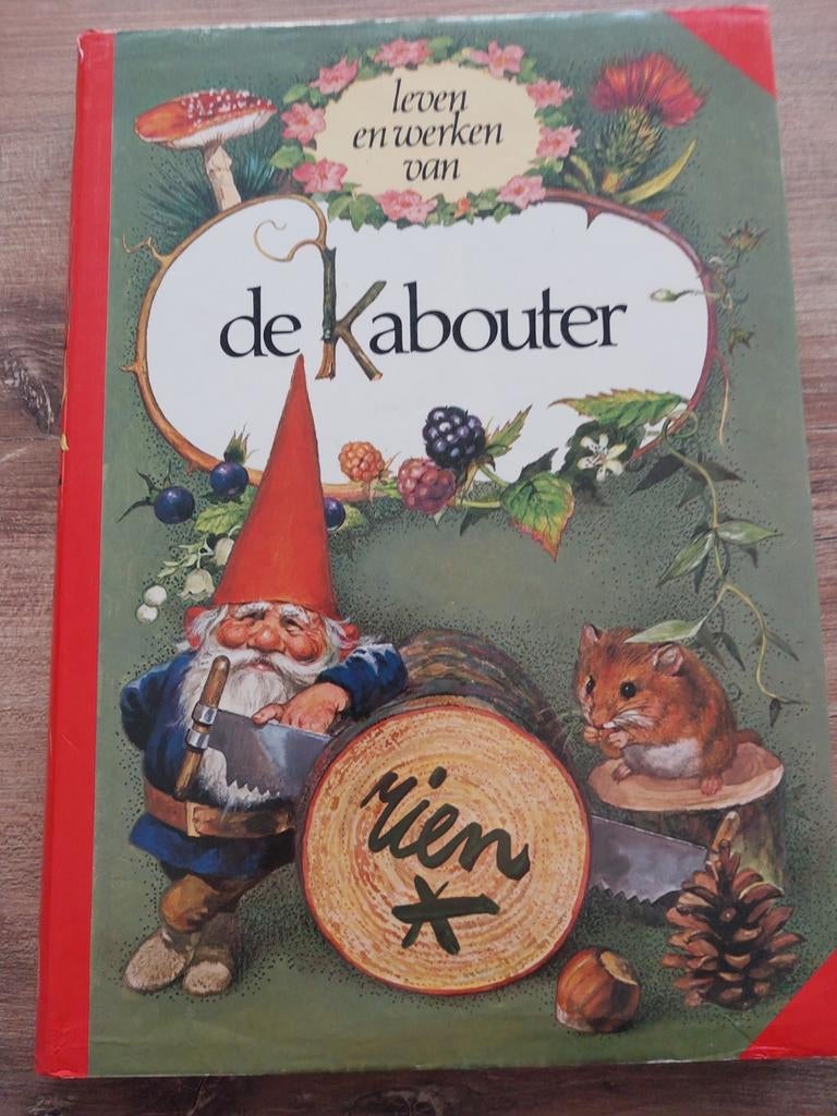 Rien Poortvliet- Leven en werken van De Kabouter, Ophalen of Verzenden, Gelezen, Rien Poortvliet
