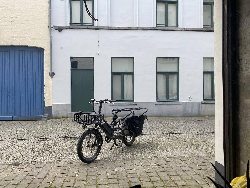 Te koop: RadWagon 4 longtail bakfiets, Gebruikt, Elektrisch, 2 kinderen, Schijfrem