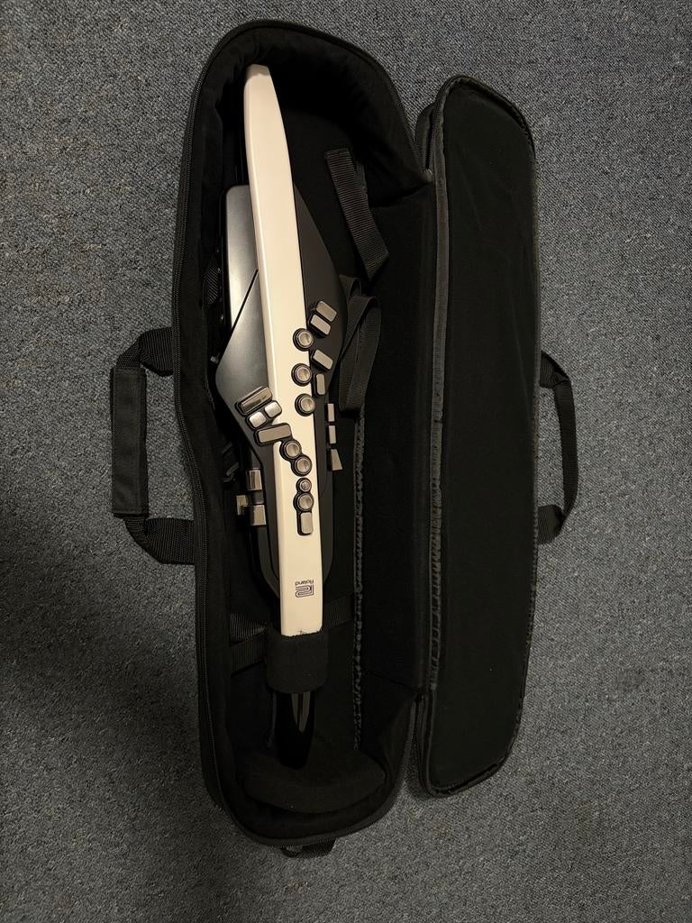 Roland Aerophone AE-20 in nieuwstaat, compleet met standaard, Ophalen of Verzenden, Zo goed als nieuw, Overige soorten, Met koffer of draagtas