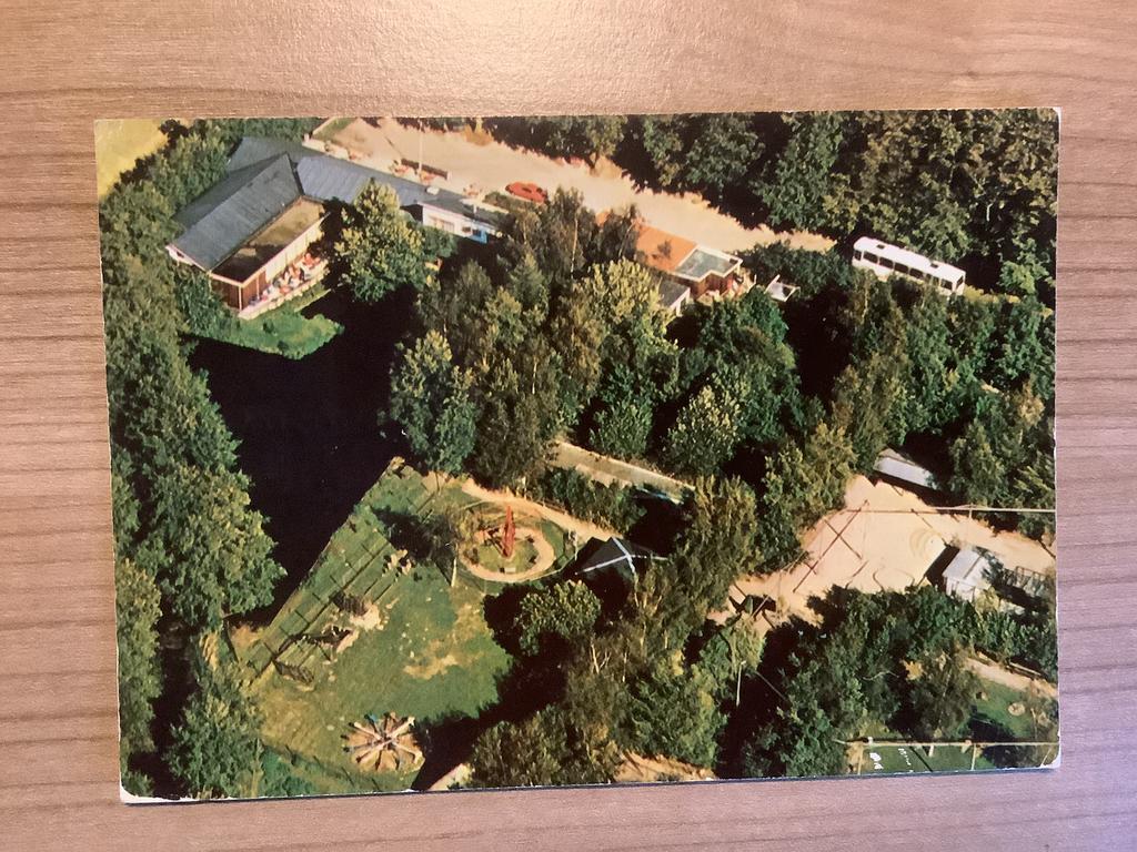ansichtkaart Rijs, Ophalen of Verzenden, Gelopen