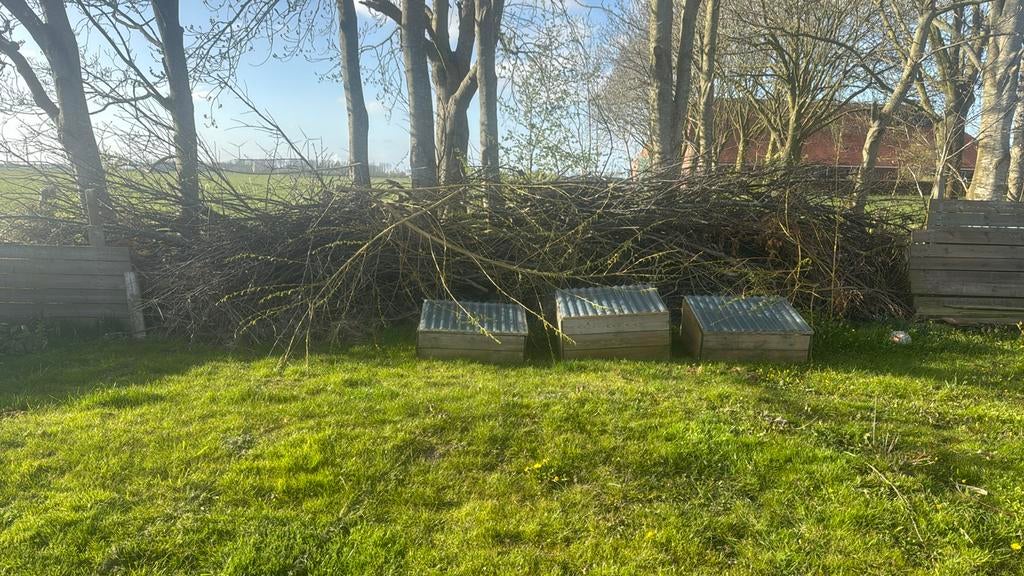 Snoeiafval van meerder soorten bomen er struiken, Tuin en Terras, Haardhout, 3 tot 6 m³, Ophalen, Overige houtsoorten, Takken