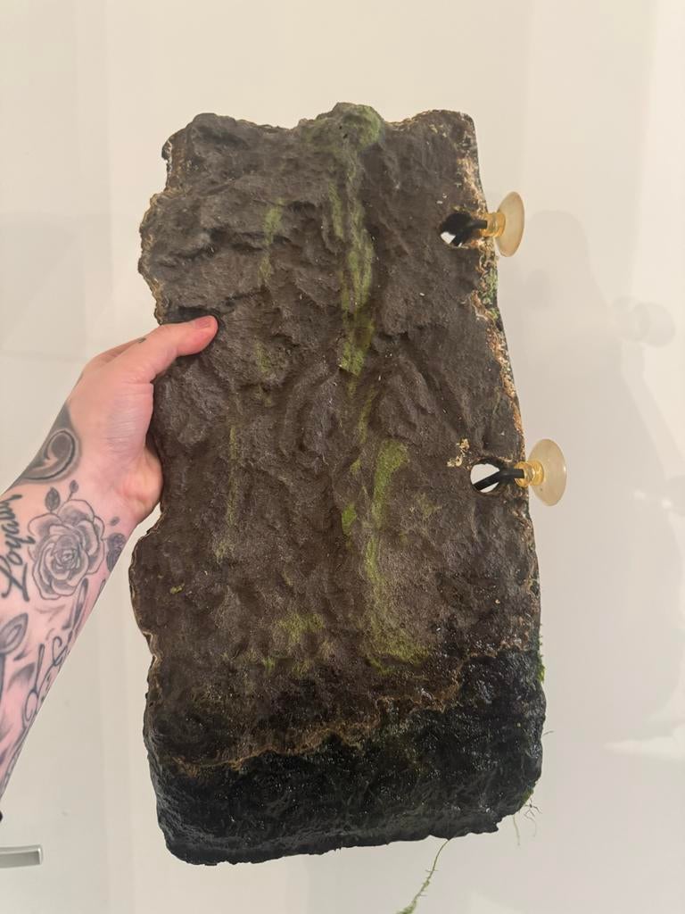 turtle deck, waterschildpad schuilplaats, verhoging water, Ophalen of Verzenden