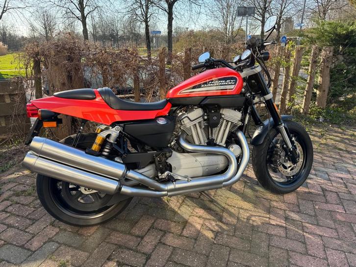Harley Davidson XR1200, Motoren, Motoren | Harley-Davidson, Particulier, Naked bike, meer dan 35 kW, 2 cilinders, Ophalen