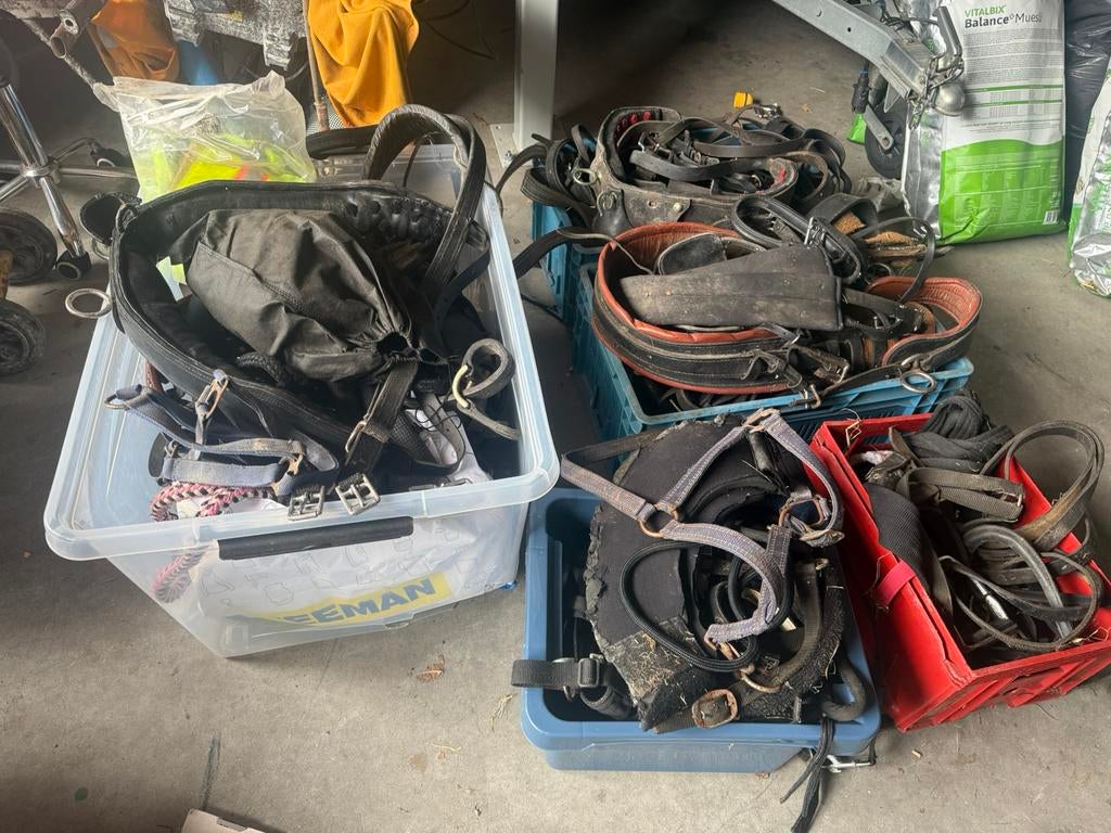 Paardenspullen, Dieren en Toebehoren, Ophalen, Gebruikt, Overige soorten