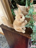 Eekhoorn, Ophalen of Verzenden