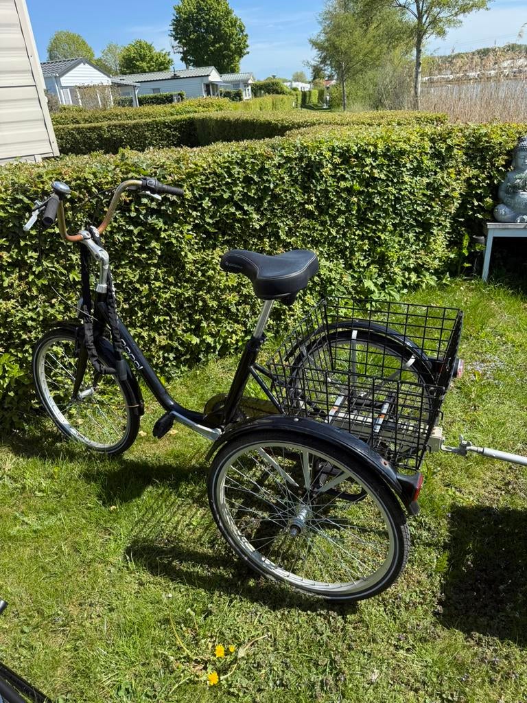 Popal driewieler fiets voor volwassen, Fietsen en Brommers, Fietsen | Driewielfietsen, Ophalen, Zo goed als nieuw