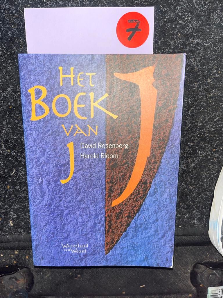 Het Boek van J - David Rosenberg & Harold Bloom, Boeken, Overige Boeken, Zo goed als nieuw, Ophalen of Verzenden