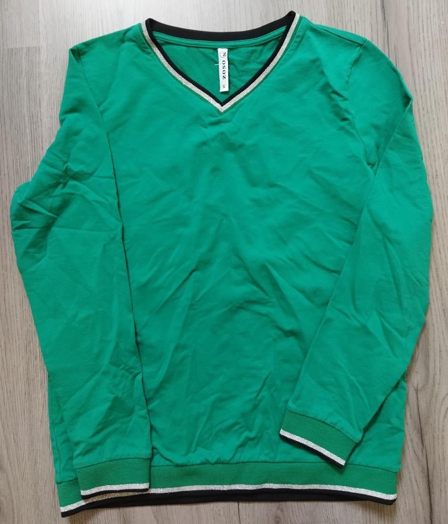 Zoso Trui Groen Maat S, Kleding | Dames, Truien en Vesten, Ophalen of Verzenden, Zo goed als nieuw, Maat 36 (S), Groen