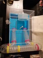 Kooi, Dieren en Toebehoren, Minder dan 60 cm, Kooi, Minder dan 75 cm, Ophalen of Verzenden