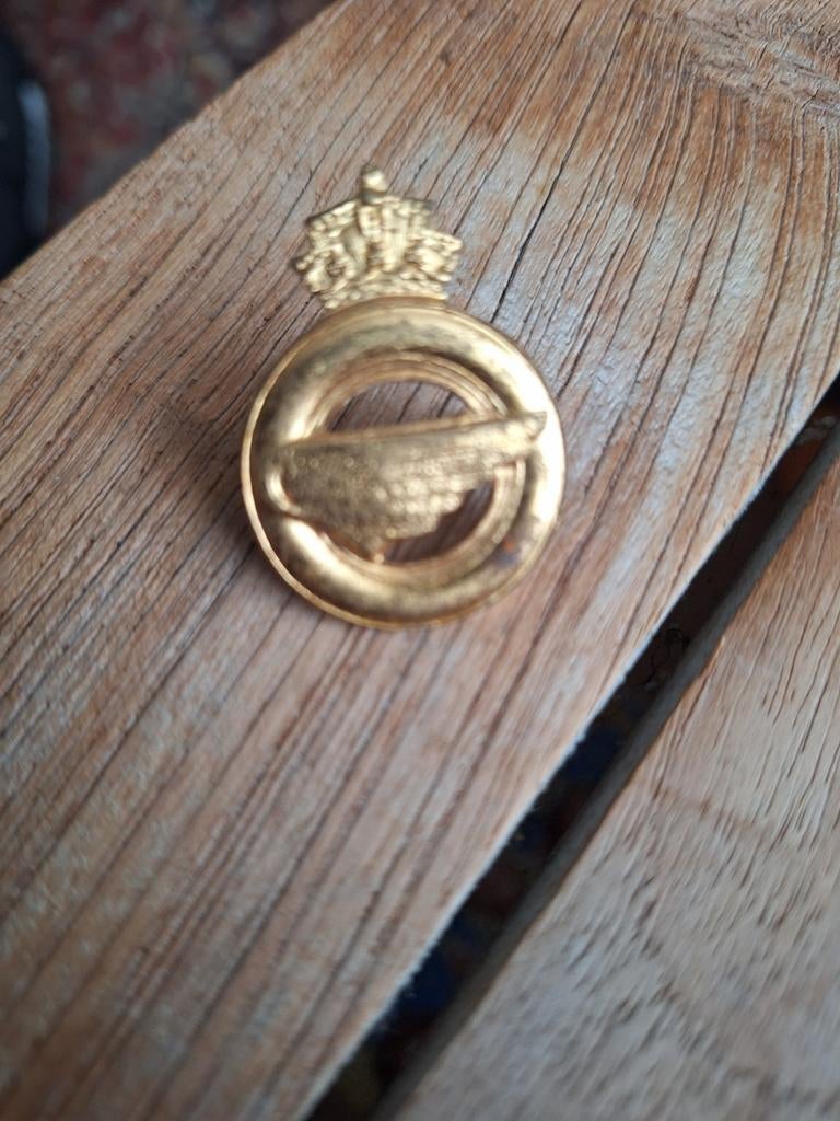 Belgie,s logistiek speld, Ophalen of Verzenden, Landmacht, Overige gebieden, Embleem of Badge