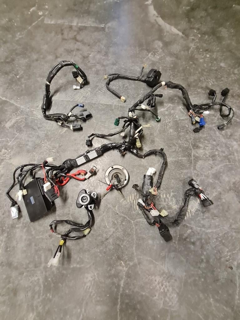 Yamaha R6 kabelboom/contactslot set, Motoren, Ophalen, Nieuw