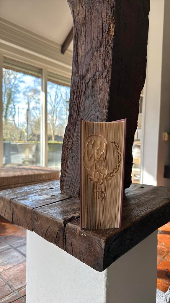 Uniek handgesneden boek – Sterrenbeeld Maagd (Virgo), Ophalen, Zo goed als nieuw